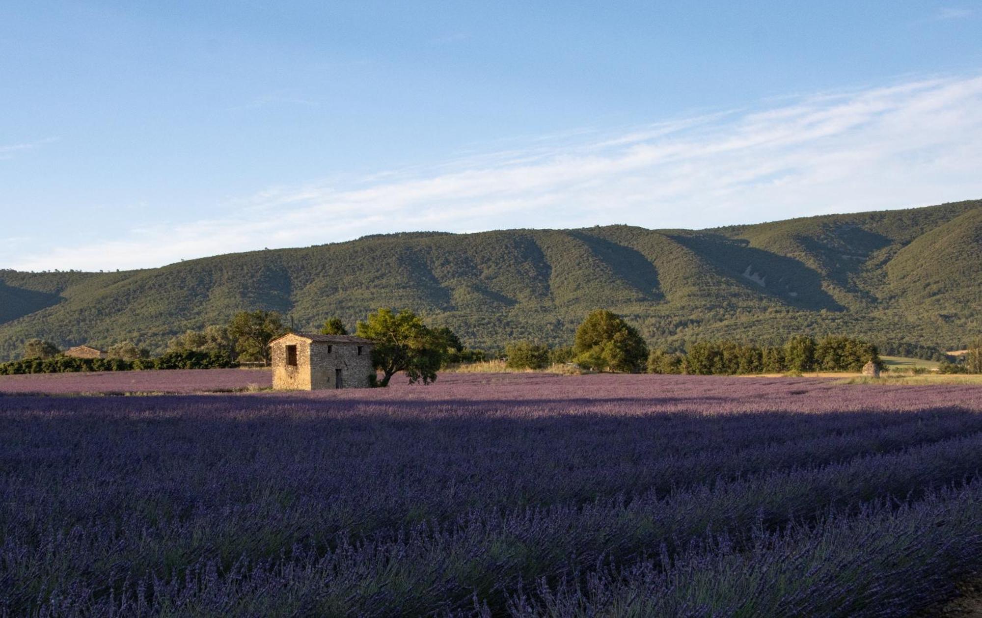 Studio Dans Le Luberon Cereste Ngoại thất bức ảnh
